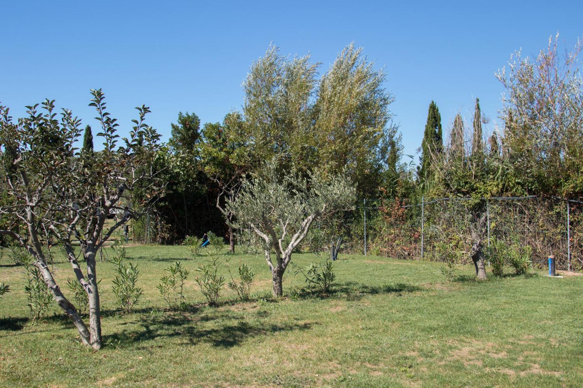 Agricampeggio Ippocampo *