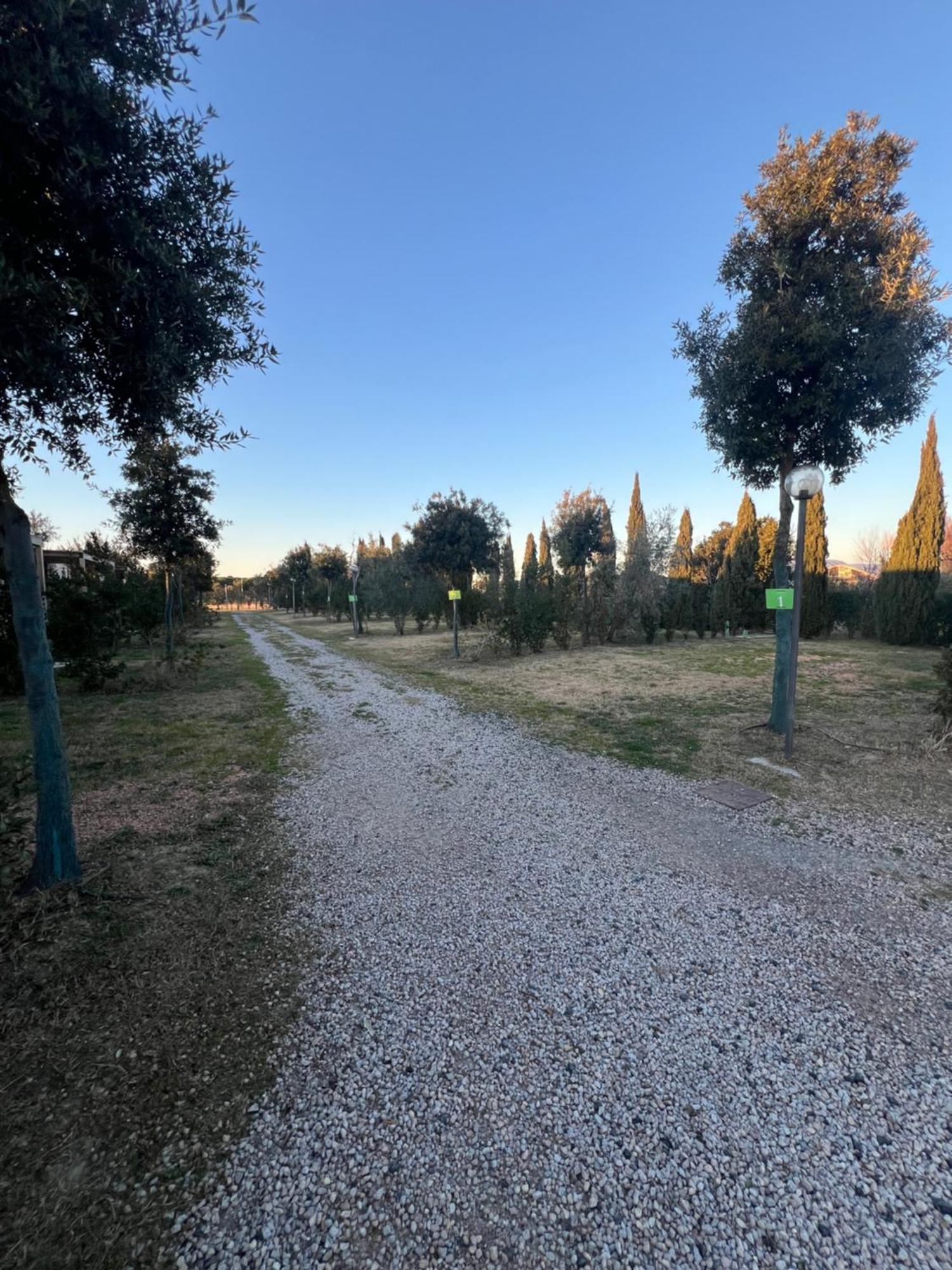 Agricampeggio Ippocampo
